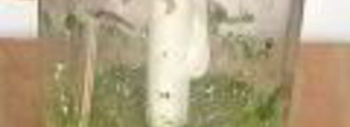 соусы сальса круда, сальса роха, сальса верде. Шаг 7