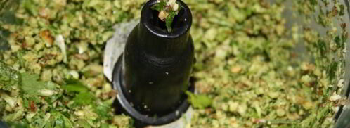 сациви с куриными грудками. Шаг 3