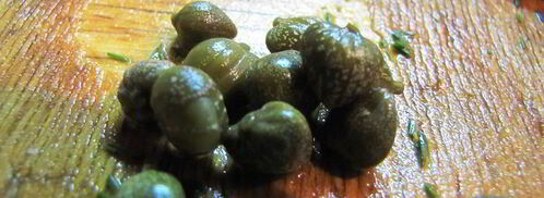 соус тартар с солеными огурчиками. Шаг 6