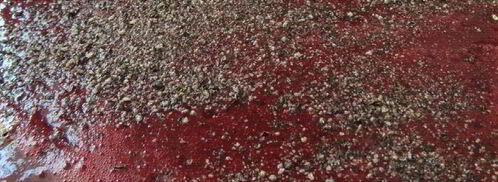 грузинский соус ткемали. Шаг 6