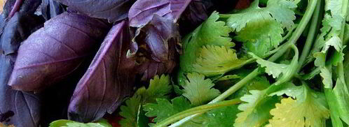 соус из слив ткемали к мясу. Шаг 5