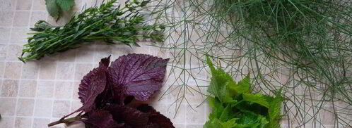 соус сливовый ткемали. Шаг 5