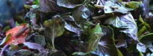 соус ткемали классический. Шаг 5