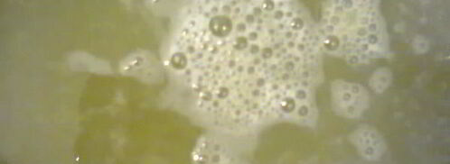 соус зеленый ткемали. Шаг 5