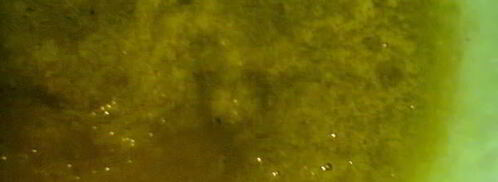 соус зеленый ткемали. Шаг 7