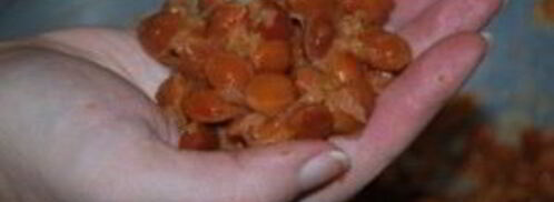 ткемали из слив на зиму. Шаг 7