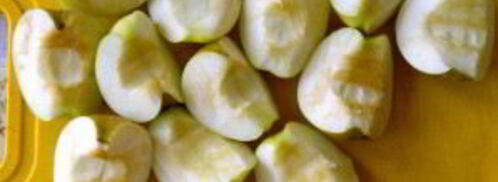 утка в соусе ткемали с медом. Шаг 8