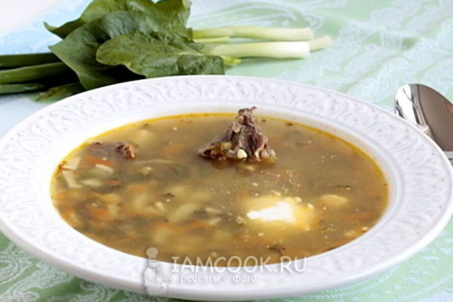 Рецепт зеленого борща с мясом