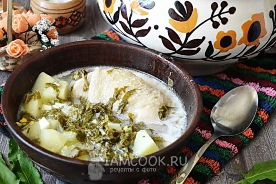 Рецепт зеленого борща в мультиварке