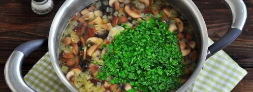 грибной суп на курином бульоне. Шаг 12