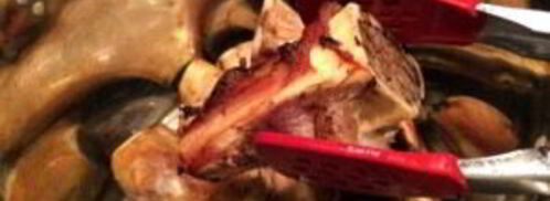 насыщенный говяжий бульон. Шаг 4