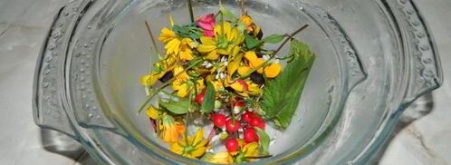 арбузный гаспачо в ледяной тарелке. Шаг 3