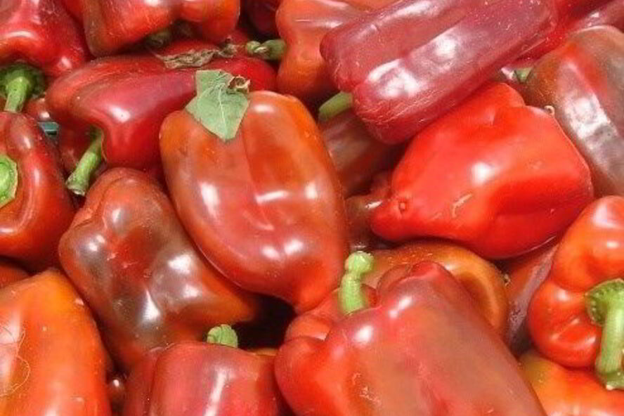 Рецепт гаспачо по-питерски