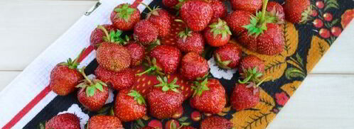 холодник с клубникой. Шаг 4