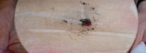 красный холодник. Шаг 8