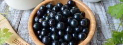 сладкий холодник. Шаг 3