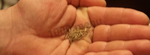 подлива для лагмана. Шаг 12