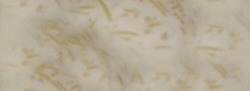 молочный суп с вермишелью для детей. Шаг 4