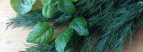 окрошка-мохито. Шаг 5