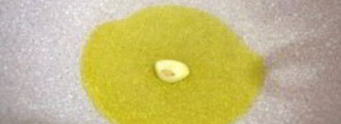 минестроне классический. Шаг 5