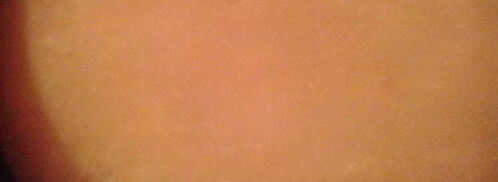 минестроне с тыквой. Шаг 8