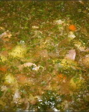 Похлебка русская