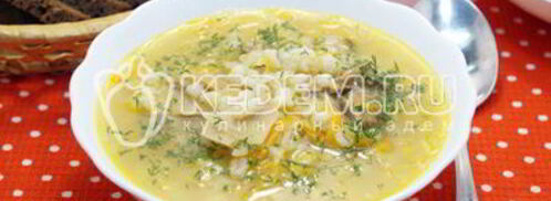 щи грибные с перловкой. Шаг 10