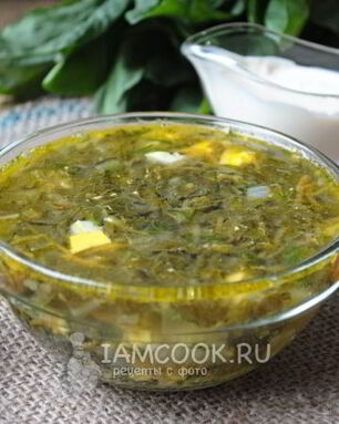 Щи из щавеля на курином бульоне