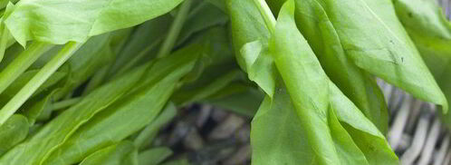 щи из щавеля. Шаг 4