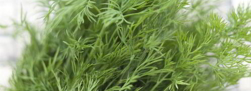 щи из щавеля. Шаг 6