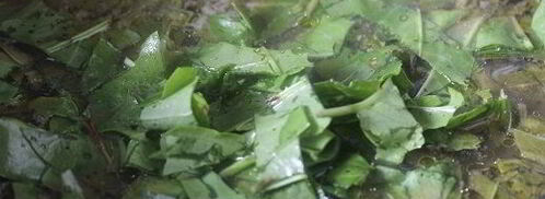 щи сентябрьские в мультиварке. Шаг 9