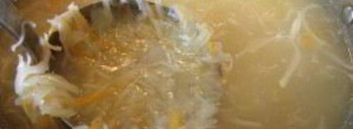 щи суточные из квашеной капусты. Шаг 7