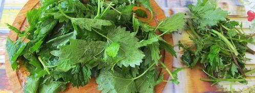 зеленые щи с потрошками. Шаг 4