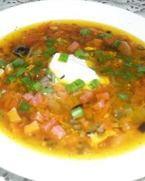 Домашняя солянка