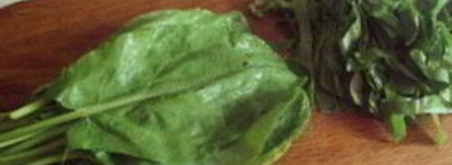 суп из щавеля с рисом. Шаг 8