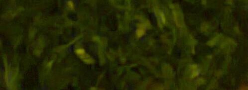 харчо из говядины. Шаг 9