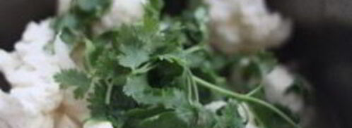 суп-пюре из цветной капусты диетический. Шаг 3