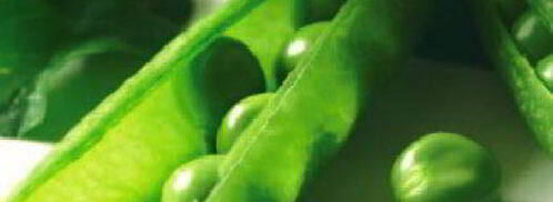 суп-пюре из зеленого горошка. Шаг 4