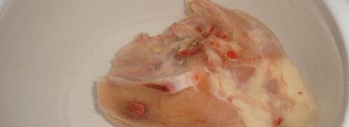 горячий свекольник. Шаг 3