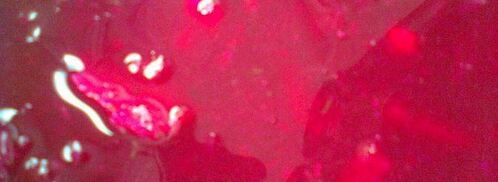 свекольник с базиликом. Шаг 7