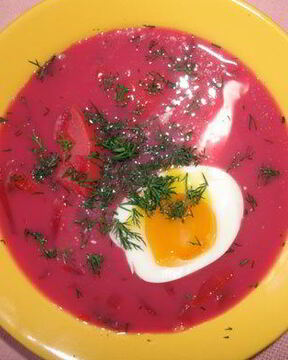 Свекольник уникальный