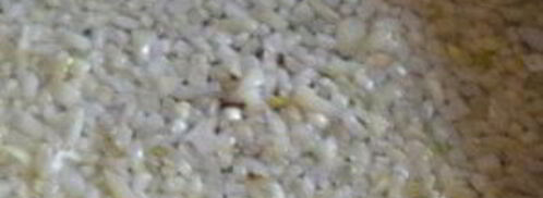 сырный суп с морепродуктами. Шаг 4