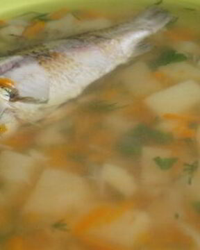 Классическая уха из карася