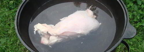 уха из карпа по-царски. Шаг 3