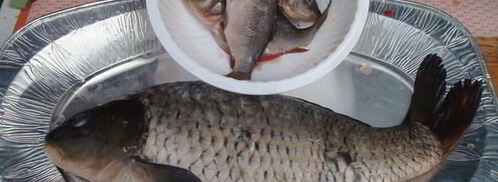 уха из карпа по-царски. Шаг 4