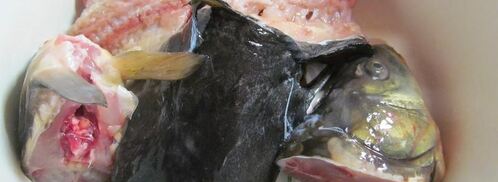 уха из речной рыбы. Шаг 3