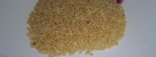 уха из семги с пшеном. Шаг 5