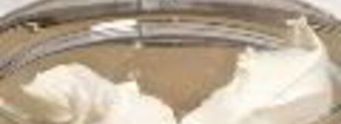 ванильный чизкейк с грецкими орехами. Шаг 5