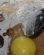 Шоколадные кексы с заварным кремом