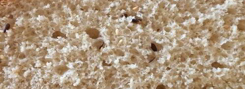 итальянский хлеб. Шаг 6